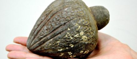 Crusader-era hand grenade surprises archaeologists