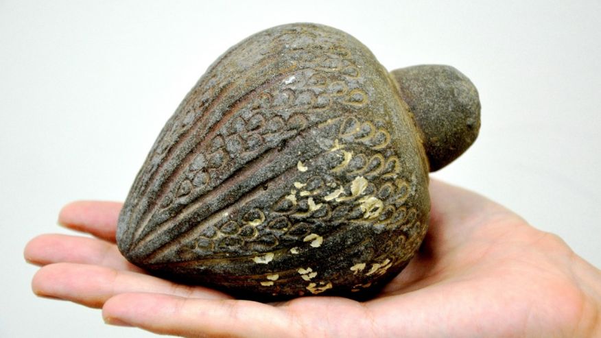 Crusader-era hand grenade surprises archaeologists