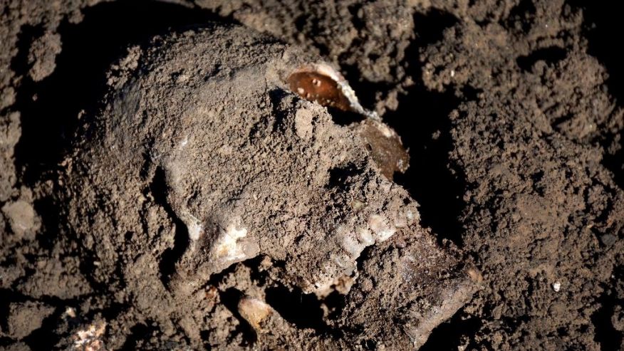 Thousands buried in at least 72 ISIS mass graves, AP finds