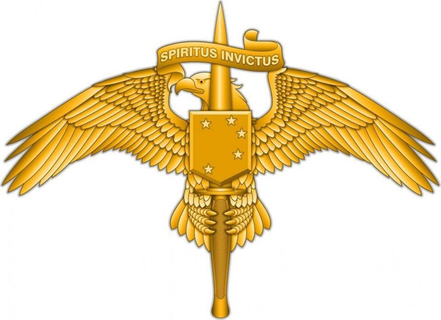 Do all Marine Raiders approve of their new insignia?