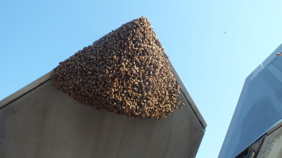 News Roundup: Epic RC aircraft do gun runs/drop paratroopers, Canuck sailor gropes U.S. Coastie, naked crack smoker