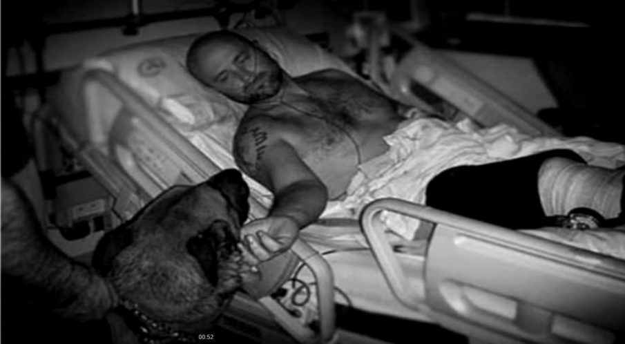 Retired Navy SEAL on mission to save working K9s from harm