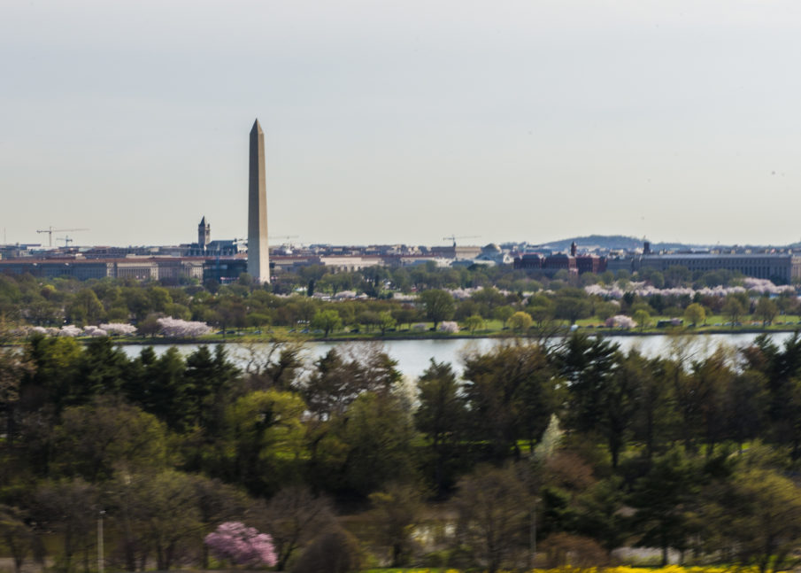 CIA, State Department, Pentagon take their civil war to the campaign trail