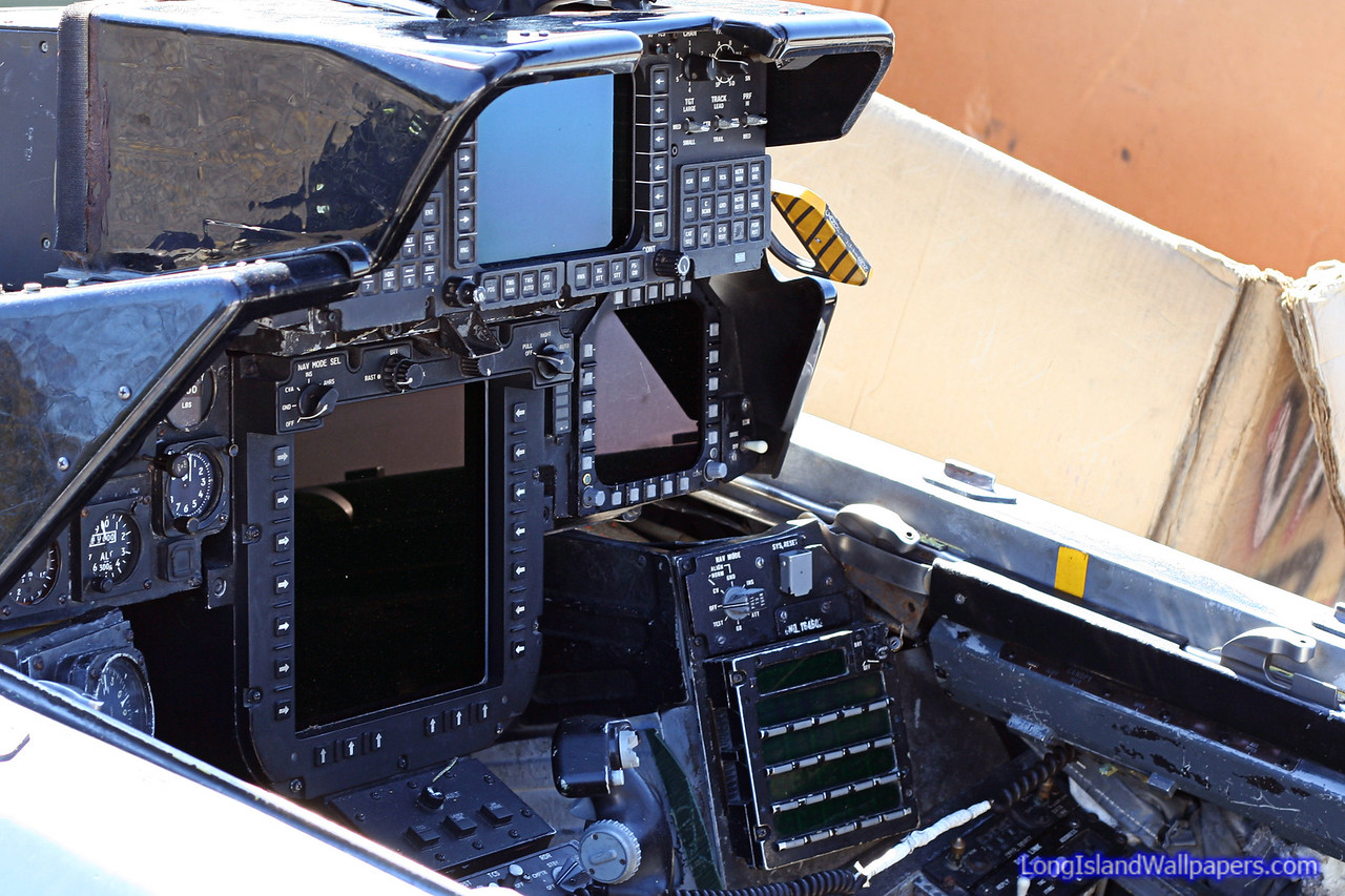 F-14D RIO cockpit with large PTID display