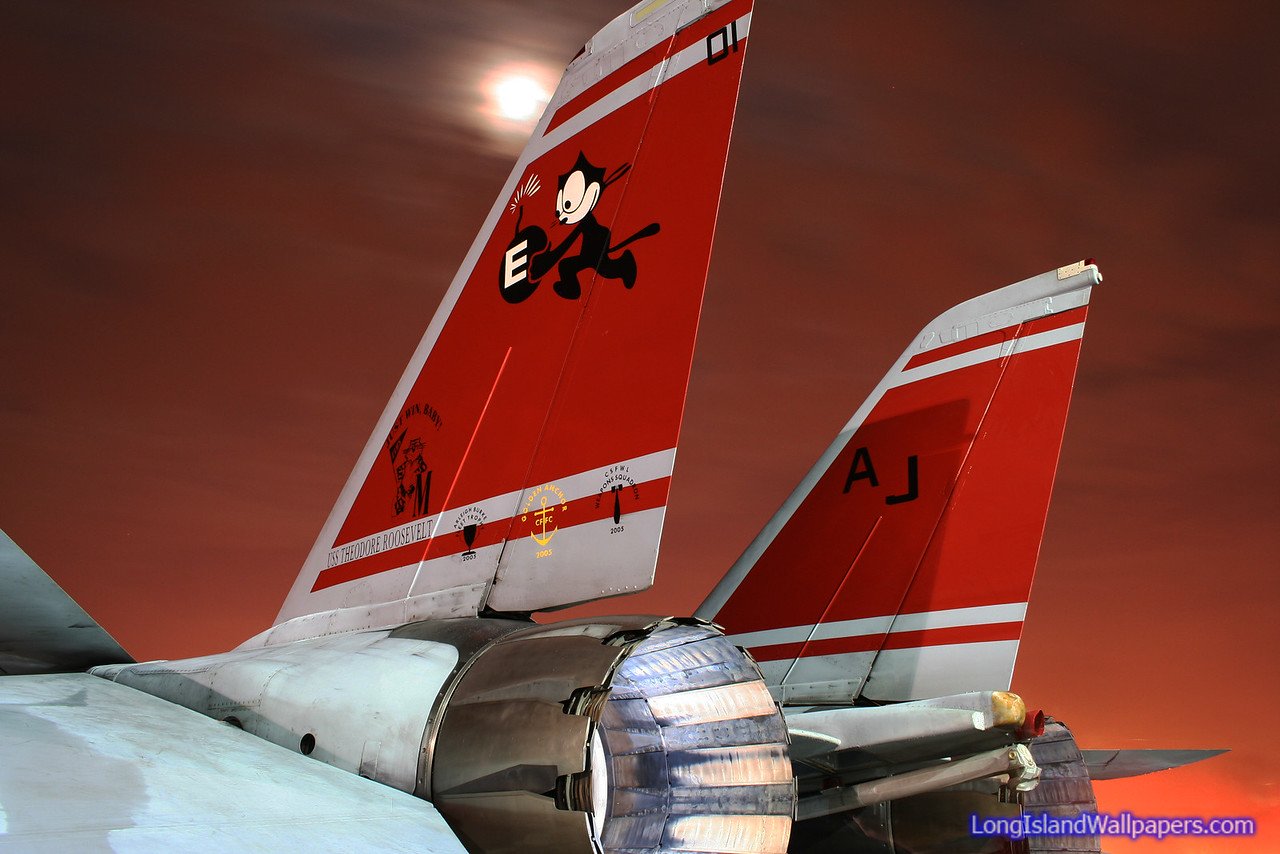 Felix 101 Twin Tails