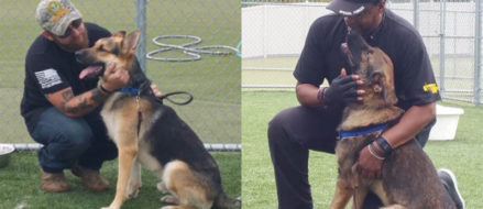 Army Veterans “Stoked” To Get Service Dogs To Help Cope With PTSD