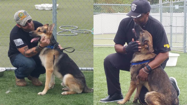 Army Veterans “Stoked” To Get Service Dogs To Help Cope With PTSD