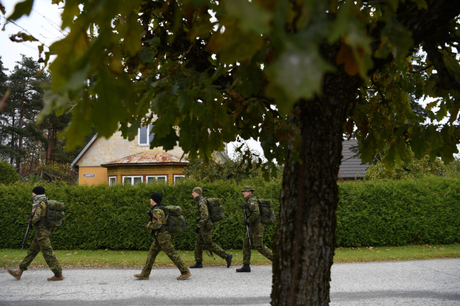 Spooked by Russia, Tiny Estonia Trains a Nation of Insurgents