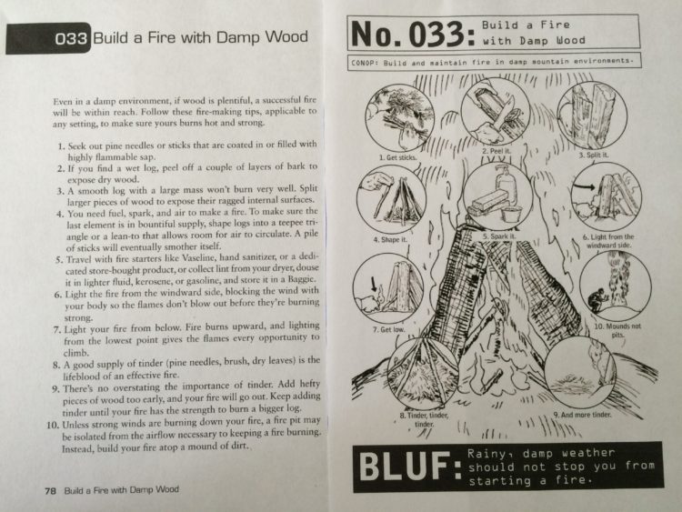 Fire Building with Damp Wood | 100 Deadly Skills Survival Edition