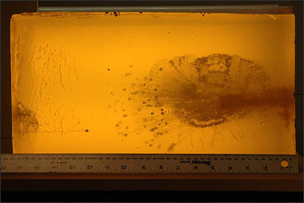 Photo credit: 24-7-home-security.com