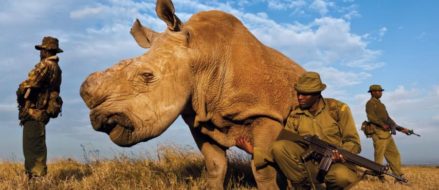 Iraq and Afghanistan veterans target poachers in South Africa