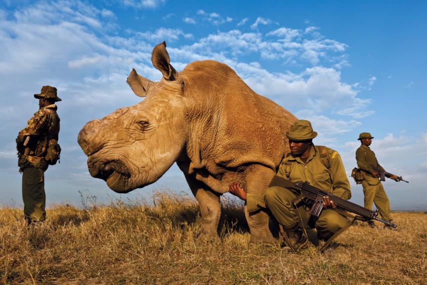 Iraq and Afghanistan veterans target poachers in South Africa