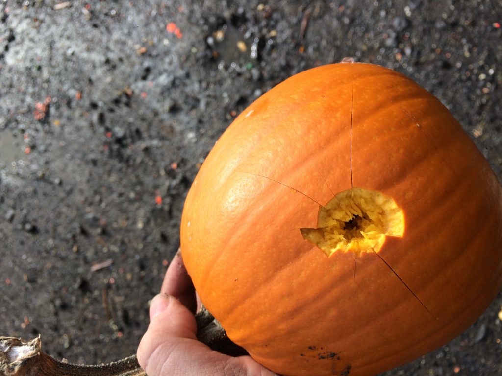 Liberty Civil Defense 9mm| Further Review