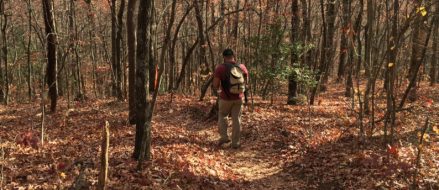 A Marine Veteran’s search of seclusion on Black Friday