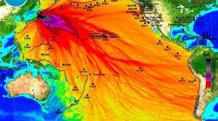 The radioactive Pacific: What goes around, comes around