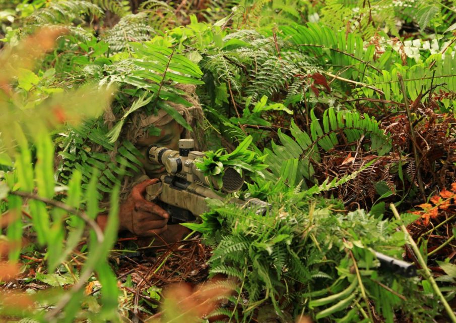 Precision rifle build on a reasonable budget – part 1