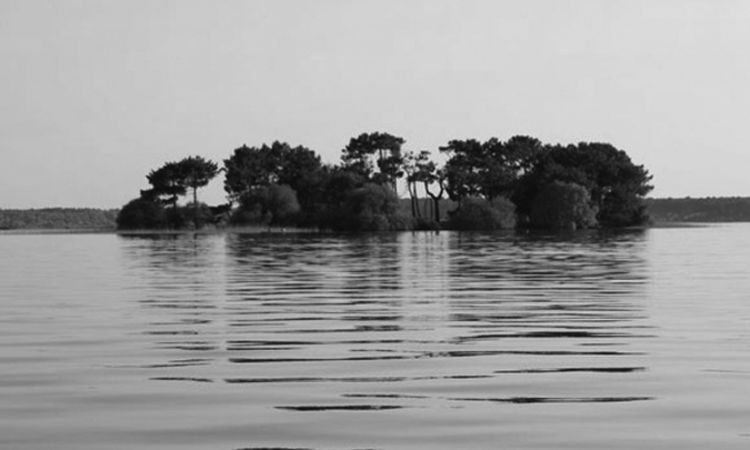 The Nazino Affair: Russia’s Cannibal Island