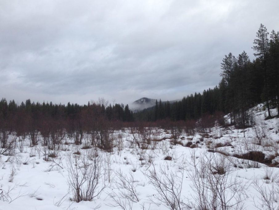 Winter Survival | Surviving a plunge through the ice