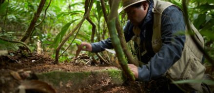 Archeologists looking for long lost ‘cursed’ city find it – and a face eating disease to match