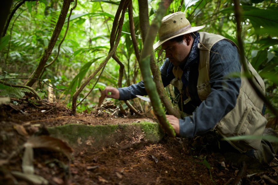 Archeologists looking for long lost ‘cursed’ city find it – and a face eating disease to match