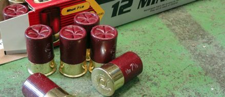 Aguila Minishells: Home-defense solution or marketing gimmick?