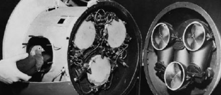 That Time the U.S. Tried to Steer Bombs with Pigeons