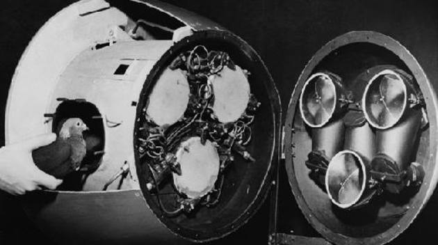 That Time the U.S. Tried to Steer Bombs with Pigeons
