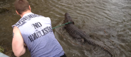 What I’ve learned about fear (by wrestling alligators)