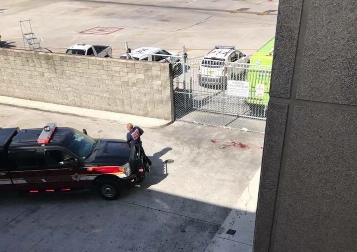 Watch: Video from the Ft. Lauderdale Airport shooting (graphic images)