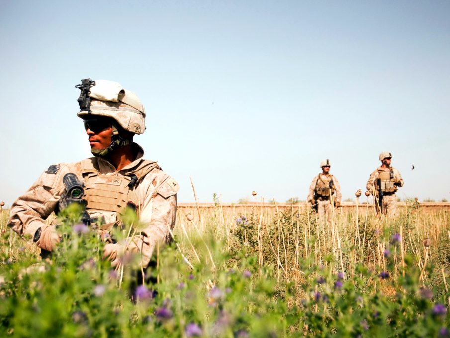 US Marine captain writes stinging op-ed: ‘We lost the wars in Iraq and Afghanistan’