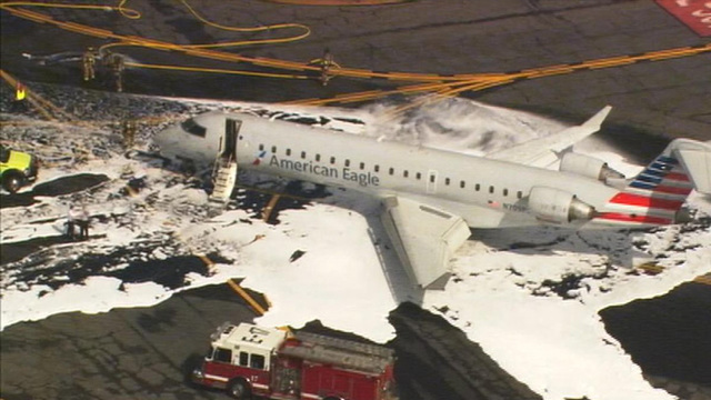 American Airlines Jet Hits Deer on Takeoff – Lands Safely