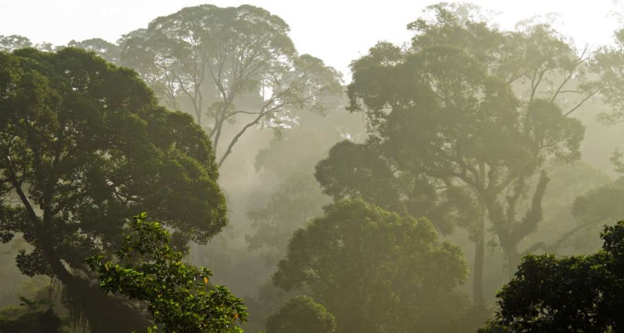 Selection for British SAS: Learning the rules of the jungle (Part 3)