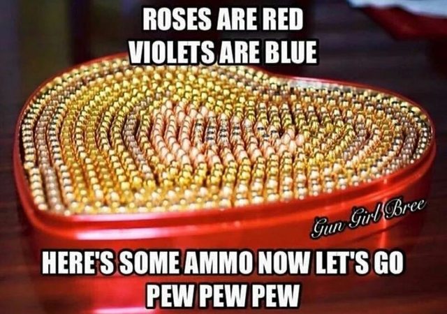 Which would you choose for survival? Shotgun vs. 22