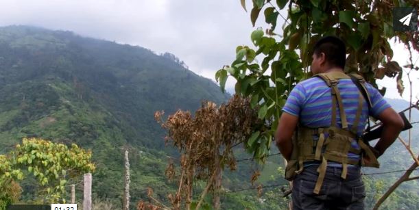 FARC Guerrillas with few prospects flocking to Cali Cartels
