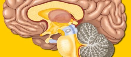Support side shooting: Train both sides of your brain