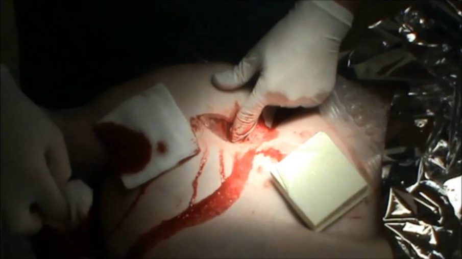 PETA put enough pressure on the Coast Guard to halt live tissue training