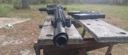 The Citadel LMC – This dog has bite