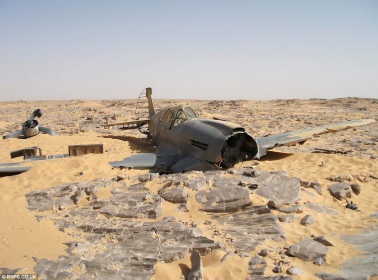 Aircraft Lost in Time: Story of WWII P40 Found in Desert After 70 Years