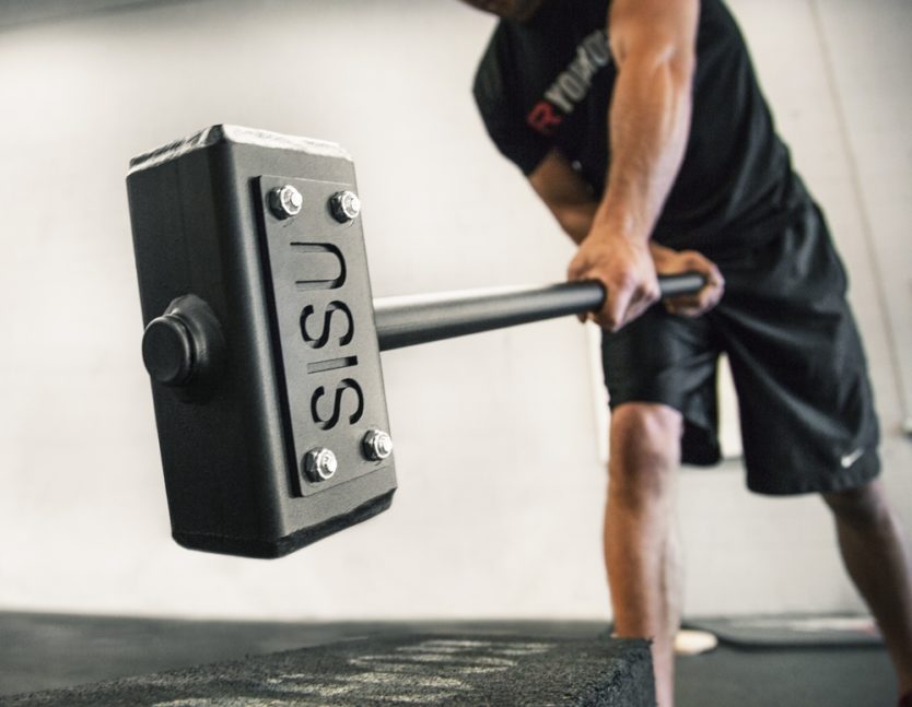 Warhammer: ROGUE SISU