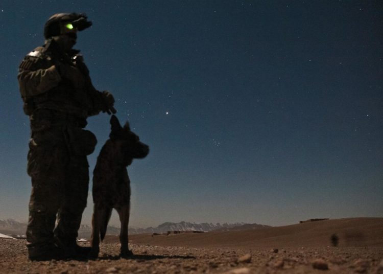 US Military’s working dogs are the worst nightmare for the enemy