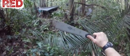 Watch: Man Hacks | Jungle Survival