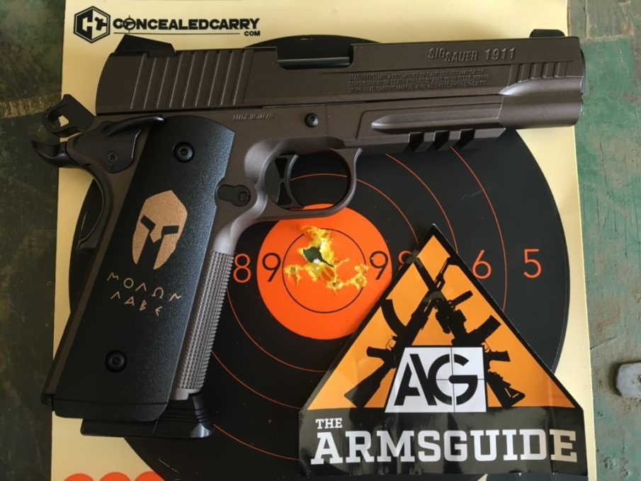 Training on a Budget? Come and take SIG’s 1911 Spartan BB Training Pistol