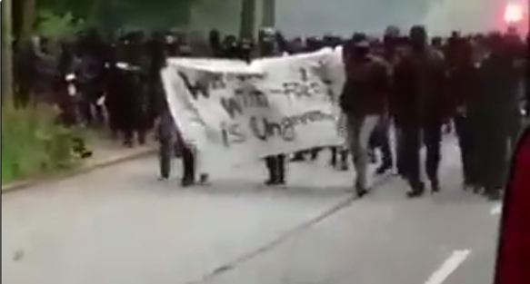 Germany: At least 160 police injured by G20 protesters