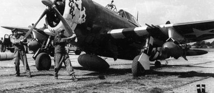 World War II pilot’s remains found in a tree 70 years after his airplane crashed