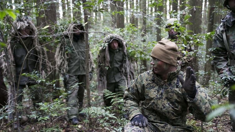 Watch: U.S. Marine and Japanese Scout Snipers conduct stalk training