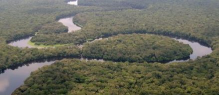 Exclusive: Murdered U.N. experts talked travel with Congo militia family – report