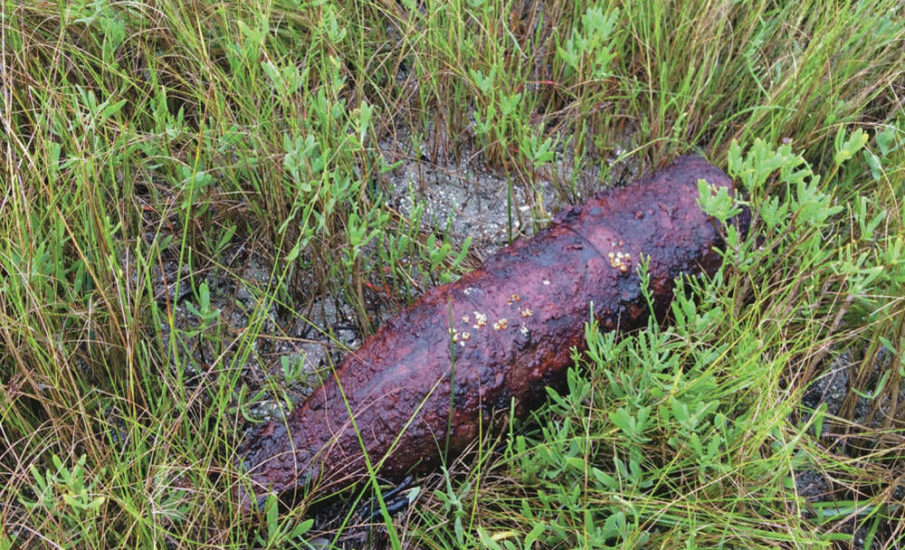 WWII pilots used North Carolina waters for target practice. Now their bombs are washing ashore.