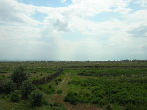 Extremism in Central Asia: Pushing back on reflexive dismissals