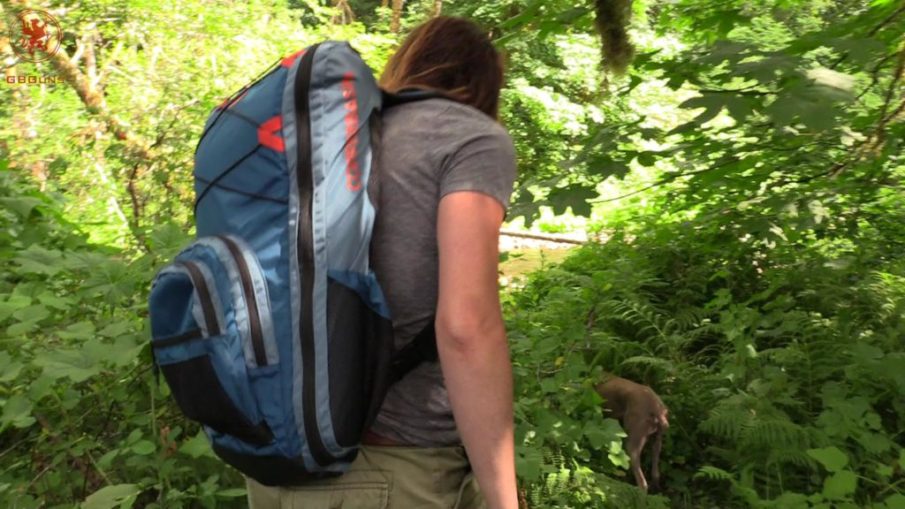 Copper Basin Takedown Backpack: Comfortably discreet