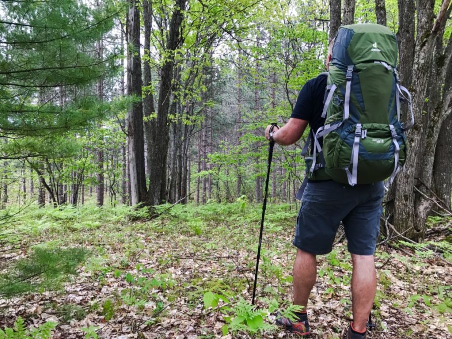 Deuter ACT Lite 65+10 Backpack